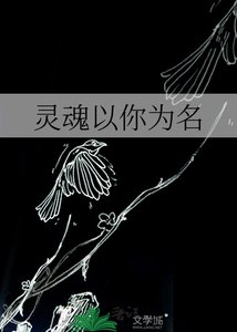 《灵魂以你为名》