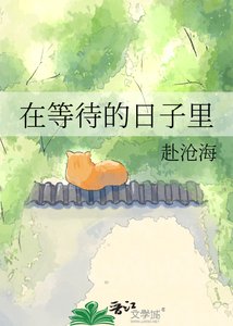 《在等待的日子里》
